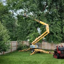 Best Lawn Irrigation Installation and Maintenance  in Chandler, IN