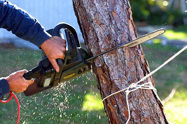 Mulching Services in Chandler, IN