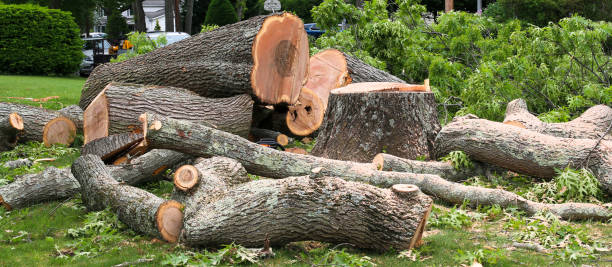 Best Aeration Services  in Chandler, IN
